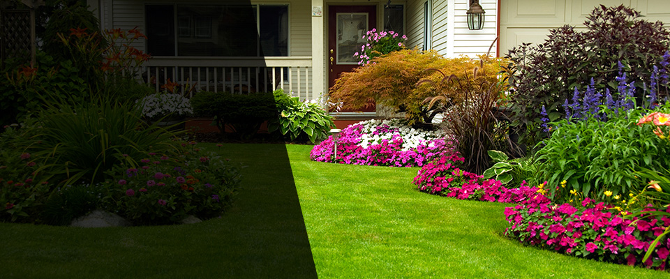 Lomita Landscapers