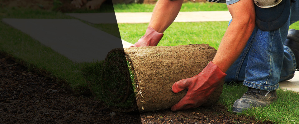 Lomita Landscapers